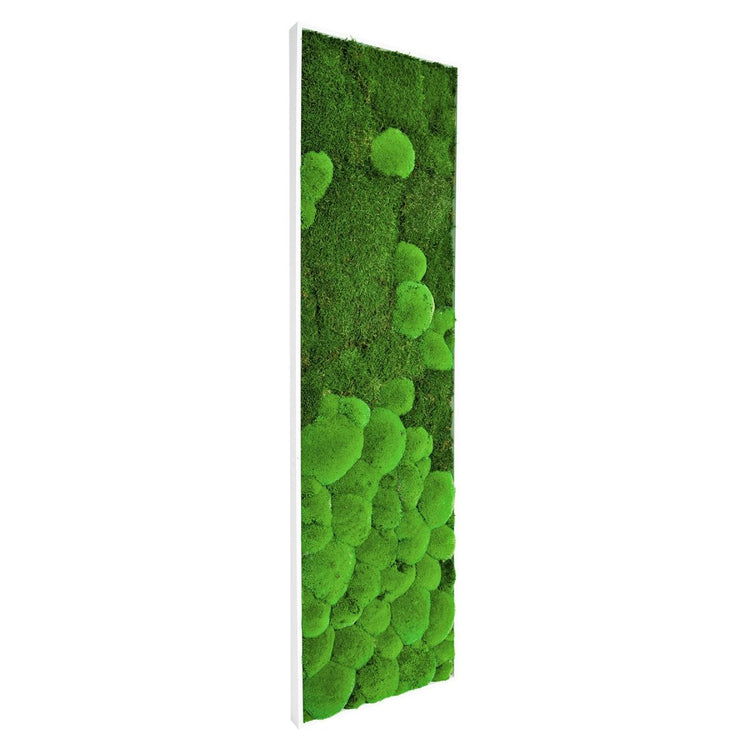 Moosbild "Fusion" 140x40 cm - Dream in Green