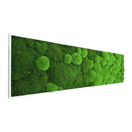 Moosbild "Fusion" 140x40 cm - Dream in Green