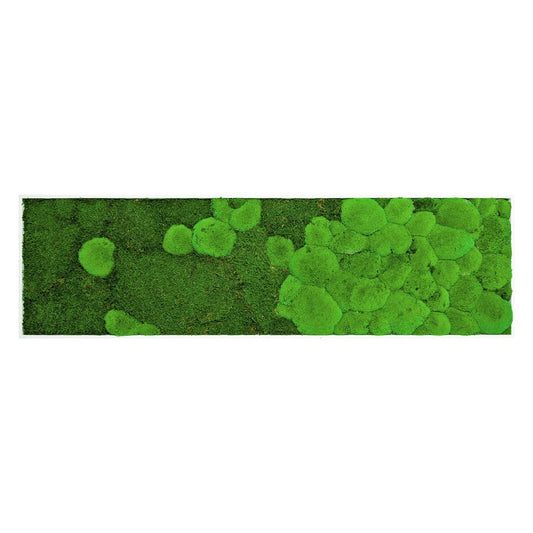Moosbild "Fusion" 140x40 cm - Dream in Green