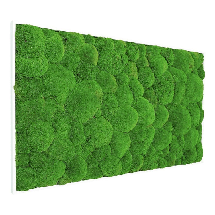 Moosbild Hügelmoos 100x50cm - Dream in Green