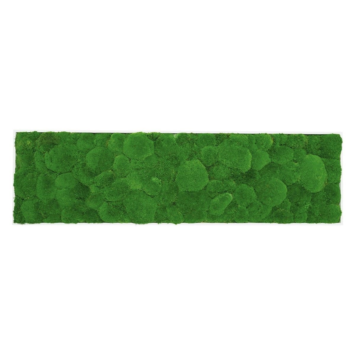 Moosbild Hügelmoos 150x50cm - Dream in Green