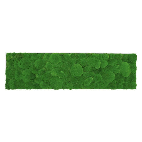 Moosbild Hügelmoos 150x50cm - Dream in Green