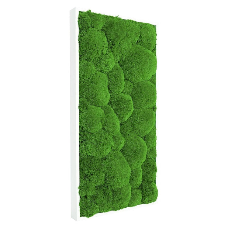 Moosbild Hügelmoos 50x25cm - Dream in Green