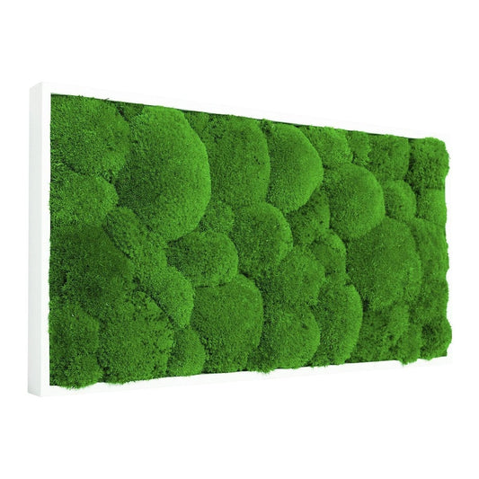 Moosbild Hügelmoos 50x25cm - Dream in Green