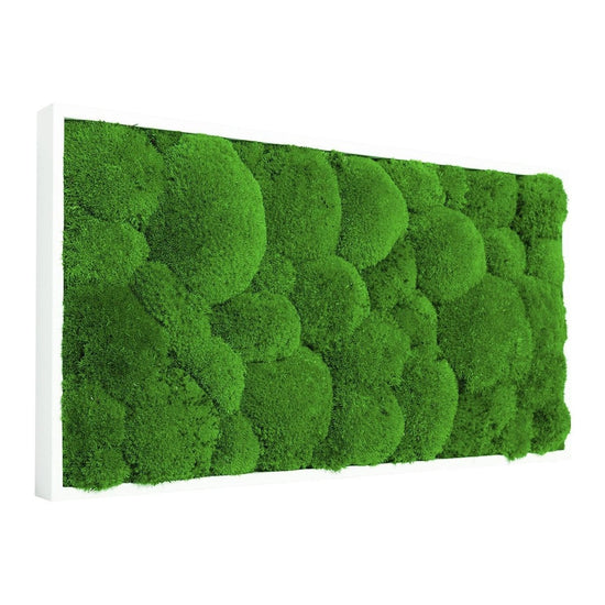 Moosbild Hügelmoos 50x25cm - Dream in Green