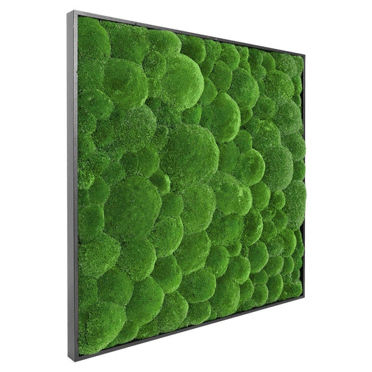 Moosbild Hügelmoos 75x75cm - Dream in Green