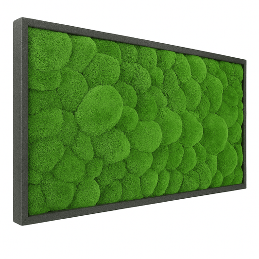 Moosbild Hügelmoos 100x50cm - Dream in Green