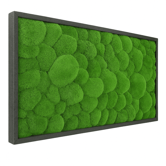 Moosbild Hügelmoos 100x50cm - Dream in Green