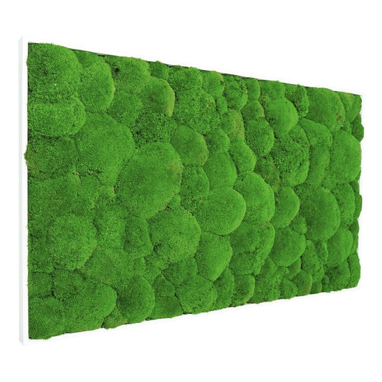 Moosbild Hügelmoos 100x60cm - Dream in Green
