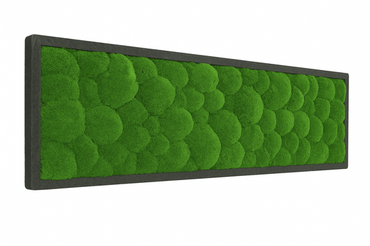 Moosbild Hügelmoos 150x50cm - Dream in Green