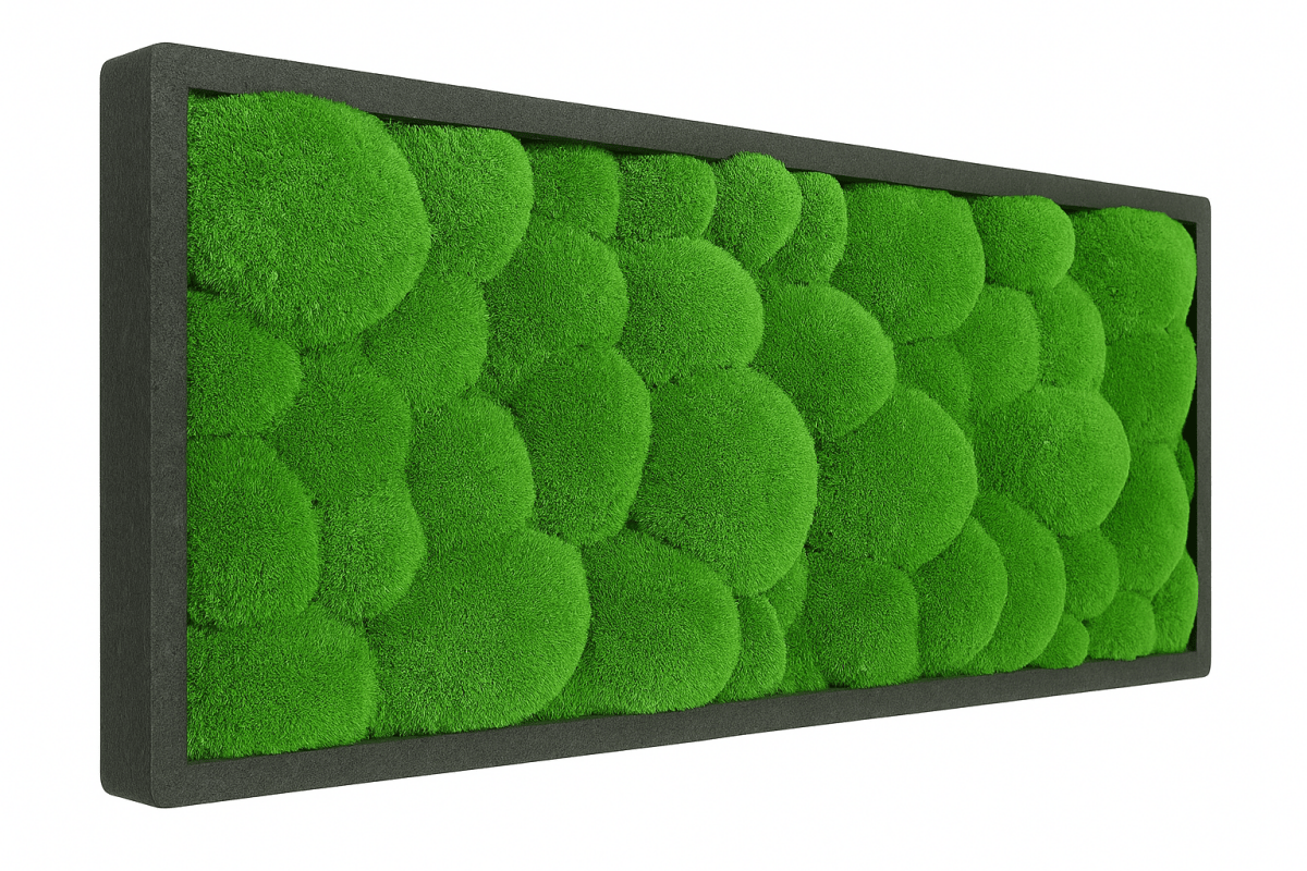 Moosbild Hügelmoos 50x25cm - Dream in Green