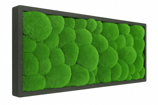 Moosbild Hügelmoos 50x25cm - Dream in Green