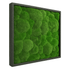 Moosbild Hügelmoos 50x50cm - Dream in Green