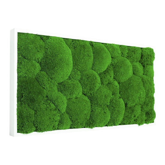 Moosbild Hügelmoos 60x30cm - Dream in Green