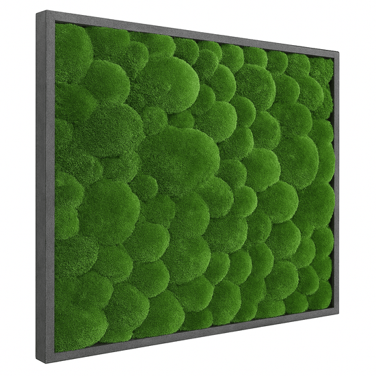 Moosbild Hügelmoos 75x75cm - Dream in Green