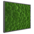 Moosbild Hügelmoos 75x75cm - Dream in Green