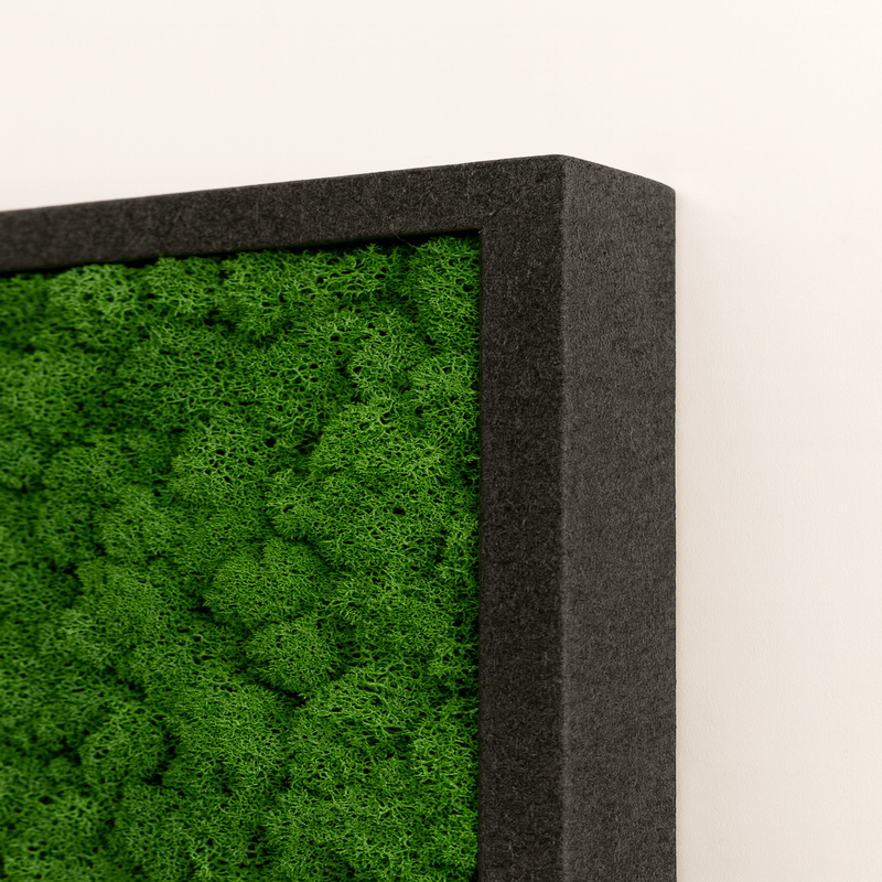 Moosbild Islandmoos 100x50 cm - Dream in Green