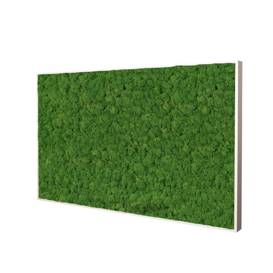 Moosbild Islandmoos 100x50 cm - Dream in Green