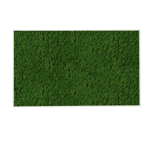 Moosbild Islandmoos 100x60 cm - Dream in Green