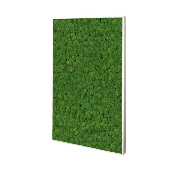 Moosbild Islandmoos 100x60 cm - Dream in Green