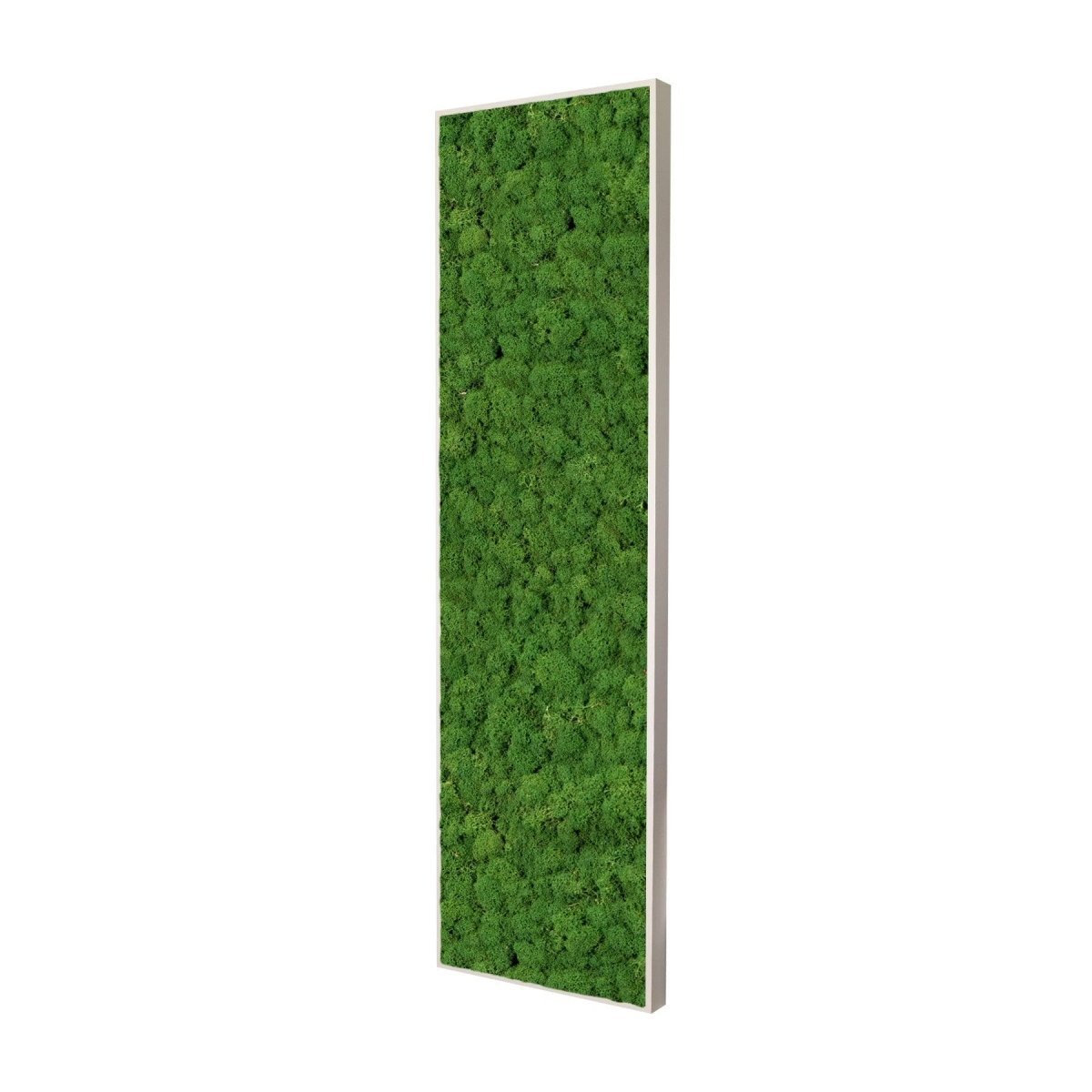 Moosbild Islandmoos 150x50 cm - Dream in Green