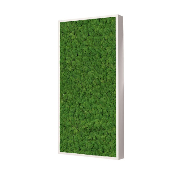 Moosbild Islandmoos 50x25 cm – Rahmen Beige - Dream in Green