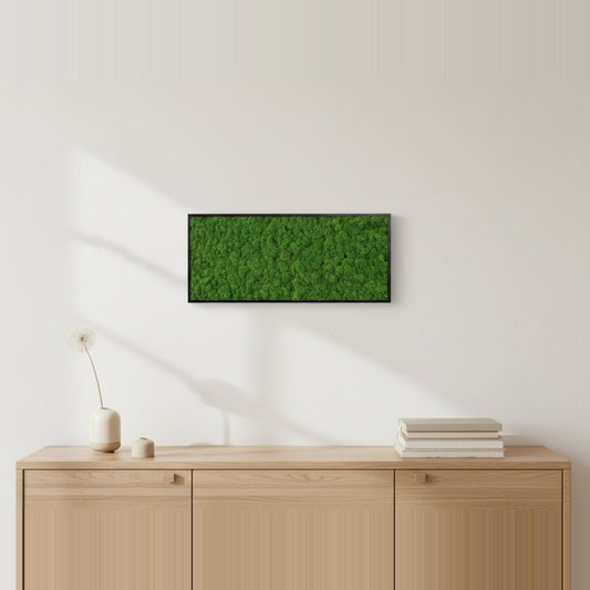 Moosbild Islandmoos 50x25cm Rahmenfarbe Anthrazit - Dream in Green