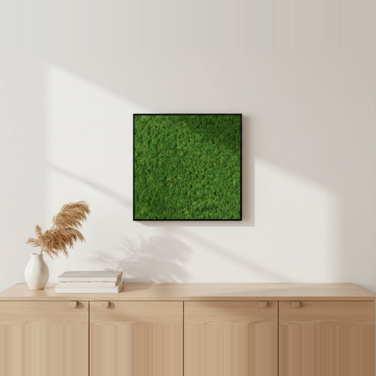 Moosbild Islandmoos 50x50 cm - Dream in Green