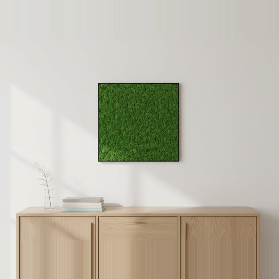 Moosbild Islandmoos 75x75 cm - Dream in Green