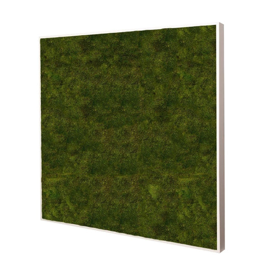Moosbild Long Moos 80x80 cm - Dream in Green