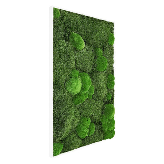 Moosbild Mixmoos 100x50cm - Dream in Green