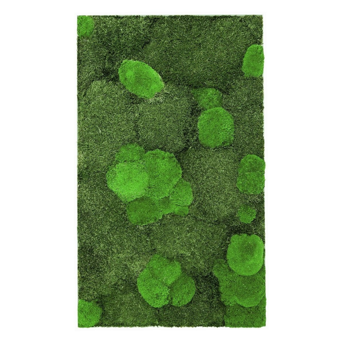 Moosbild Mixmoos 100x50cm - Dream in Green
