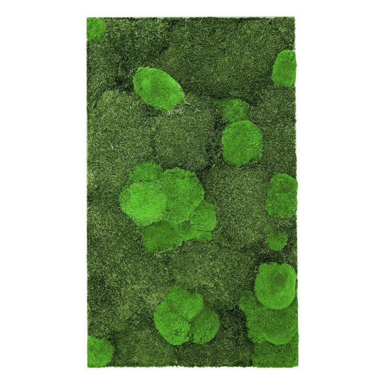 Moosbild Mixmoos 100x50cm - Dream in Green