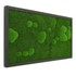 Moosbild Mixmoos 100x60cm - Dream in Green