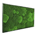 Moosbild Mixmoos 100x60cm Schwarz - Dream in Green