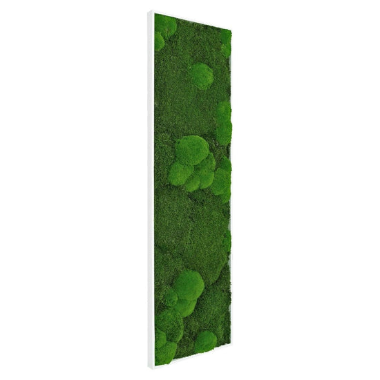 Moosbild Mixmoos 150x50cm - Dream in Green