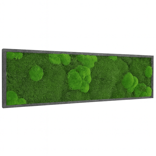Moosbild Mixmoos 150x50cm - Dream in Green