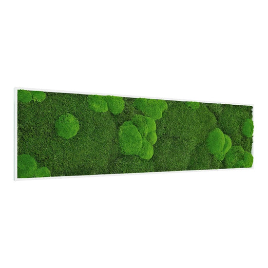 Moosbild Mixmoos 150x50cm - Dream in Green