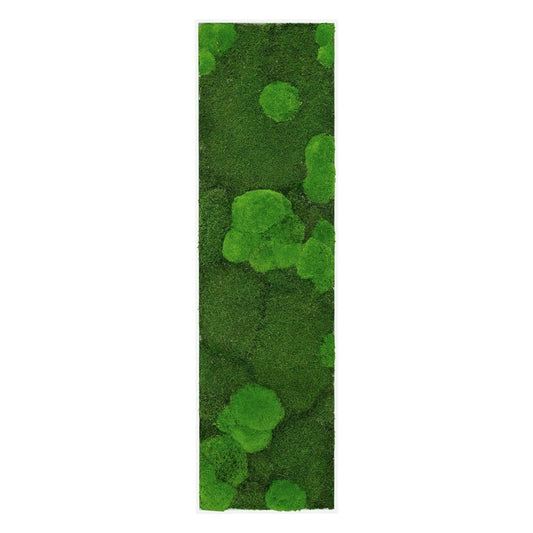 Moosbild Mixmoos 150x50cm - Dream in Green
