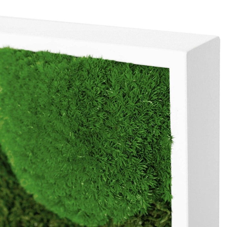 Moosbild Mixmoos 50x25cm - Dream in Green