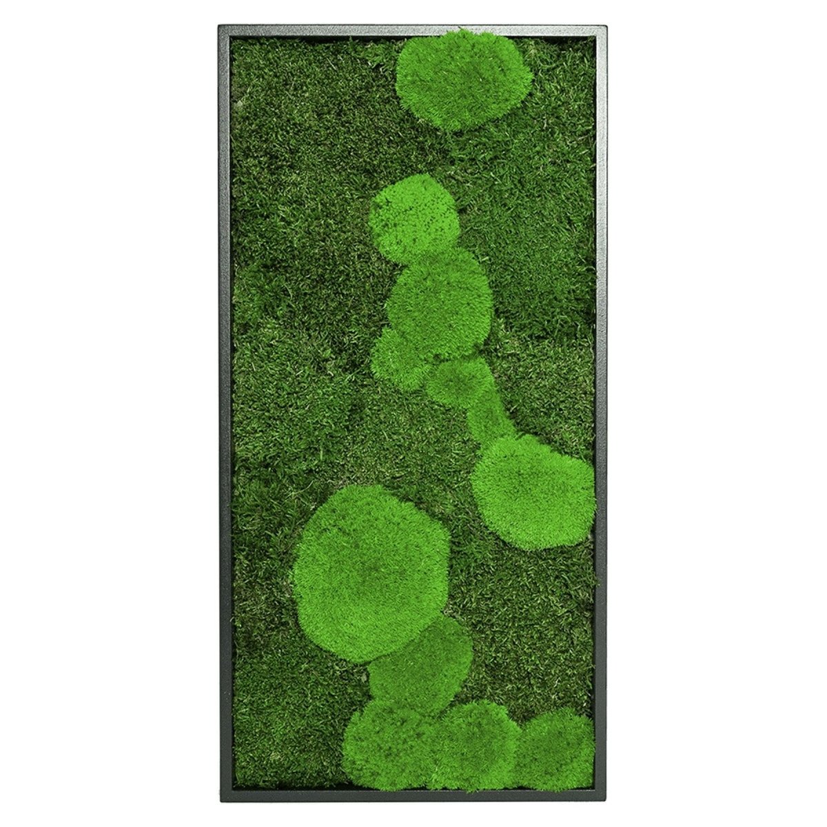 Moosbild Mixmoos 50x25cm - Dream in Green