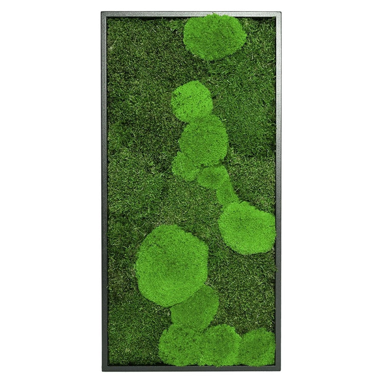 Moosbild Mixmoos 50x25cm - Dream in Green