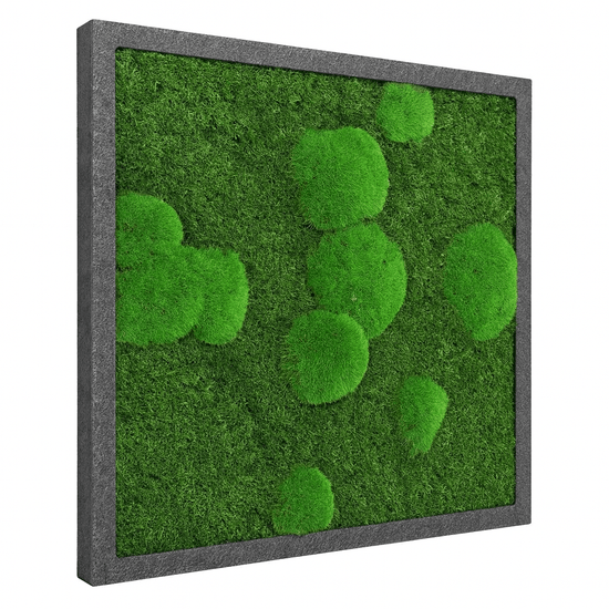 Moosbild Mixmoos 50x50cm - Dream in Green
