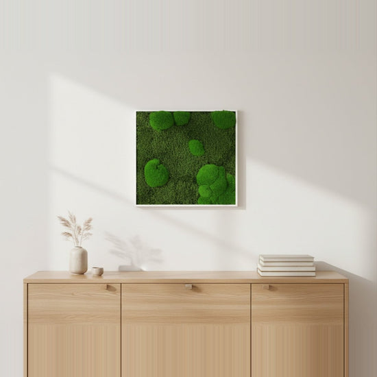 Moosbild Mixmoos 50x50cm - Dream in Green