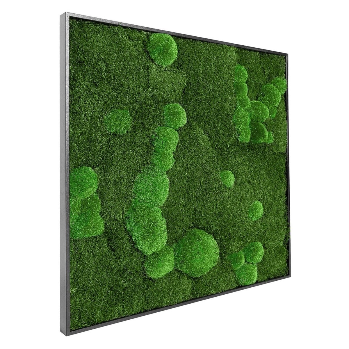 Moosbild Mixmoos 75x75cm - Dream in Green