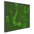 Moosbild Mixmoos 75x75cm - Dream in Green