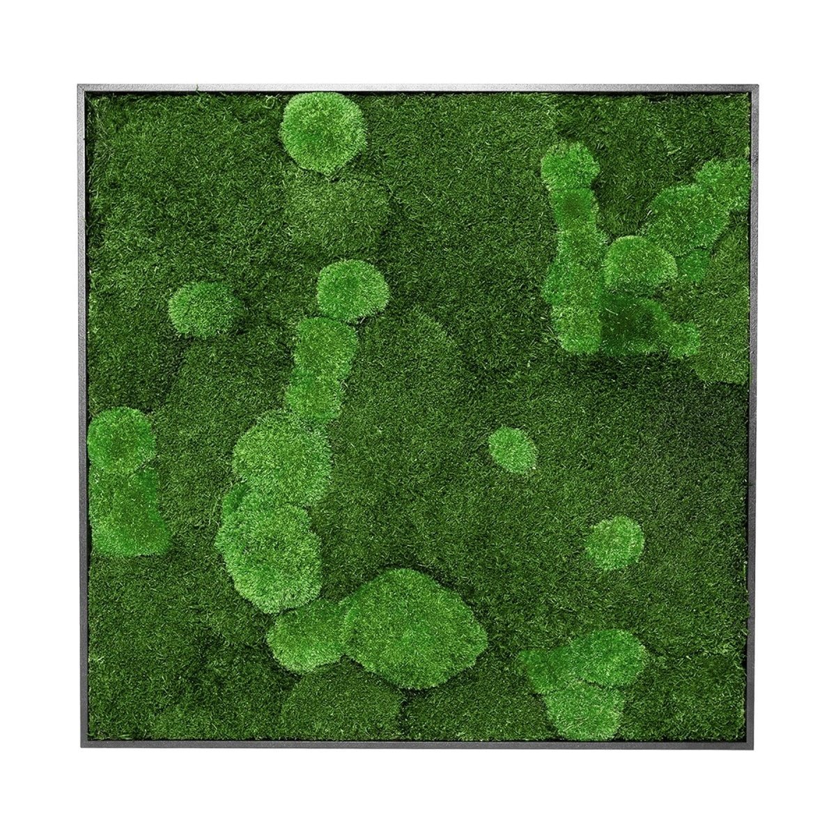 Moosbild Mixmoos 75x75cm - Dream in Green