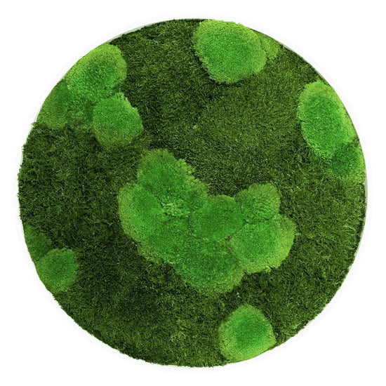 Moosbild Mixmoos Rund 50cm - Dream in Green