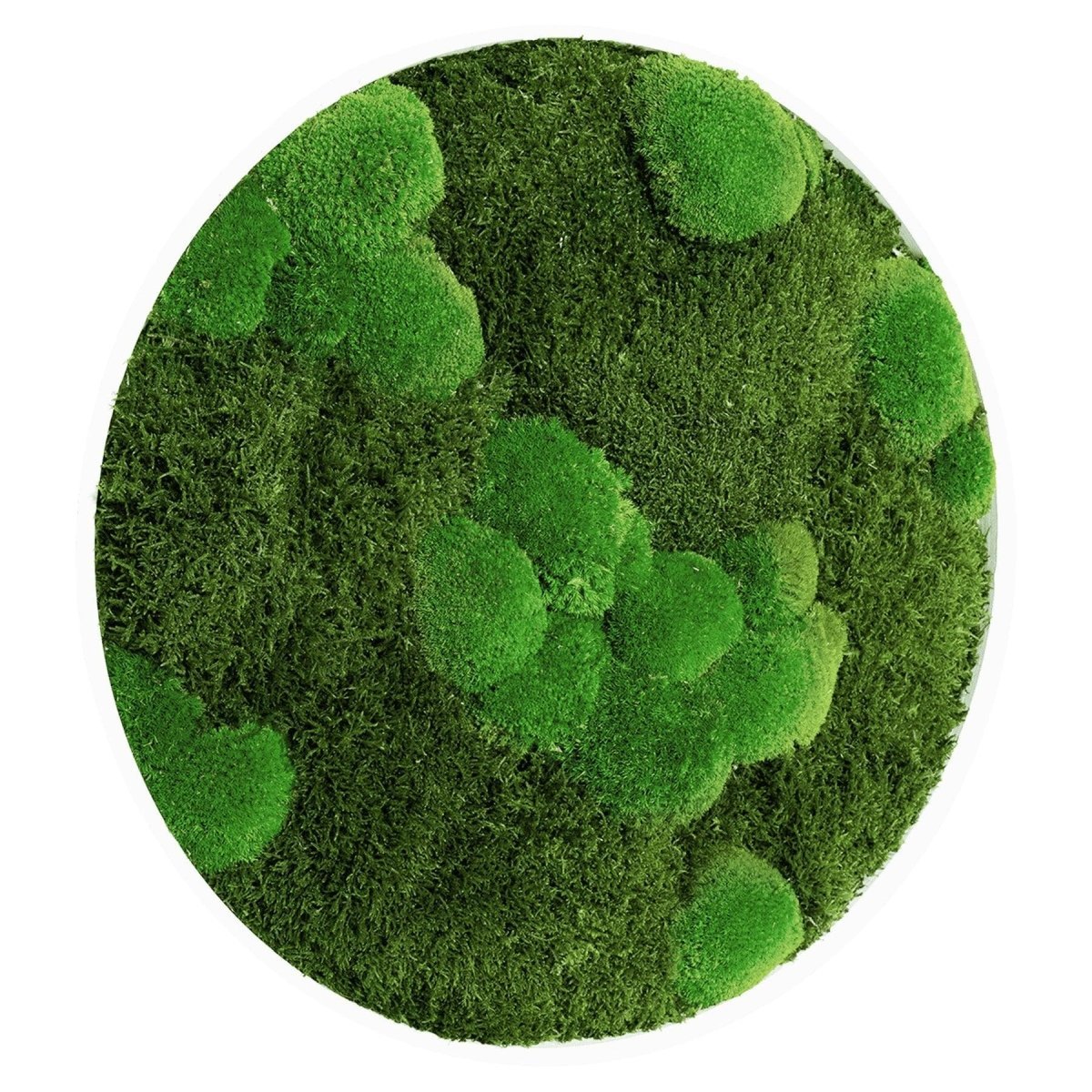 Moosbild Mixmoos Rund 75cm - Dream in Green
