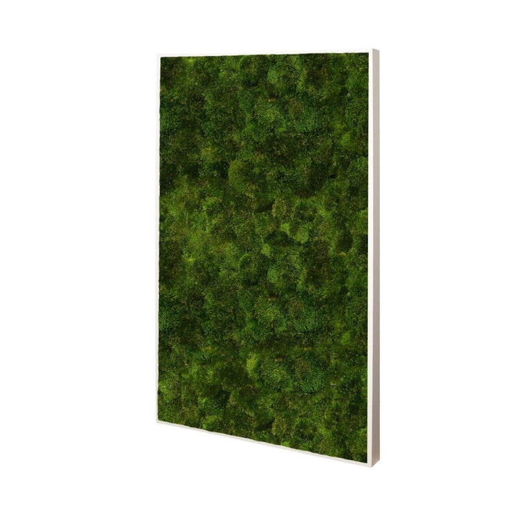 Moosbild Provence 100x60 cm - Dream in Green